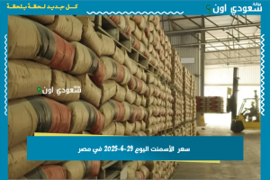 سعر  الأسمنت اليوم 29-6-2025 في مصر