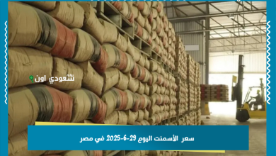سعر  الأسمنت اليوم 29-6-2025 في مصر