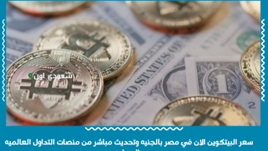 سعر البيتكوين الان في مصر بالجنيه وتحديث مباشر من منصات التداول العالميه والمحليه