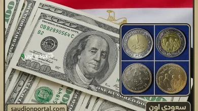 سعر الدولار