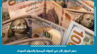 سعر الدولار الآن في البنوك الرسمية والسوق السوداء