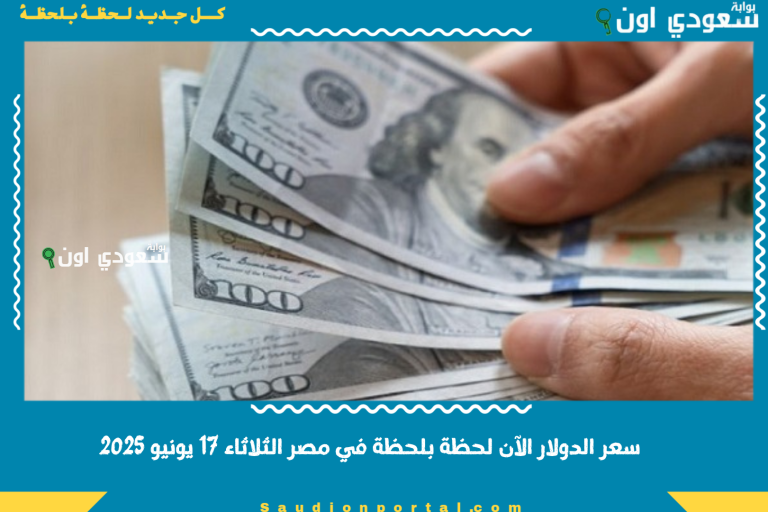 سعر الدولار الآن لحظة بلحظة في مصر الثلاثاء 17 يونيو 2025