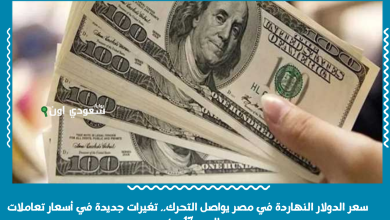 سعر الدولار النهاردة في مصر يواصل التحرك.. تغيرات جديدة في أسعار تعاملات اليوم 17 يونيو