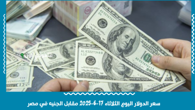 سعر الدولار اليوم الثلاثاء 17-6-2025 مقابل الجنيه في مصر