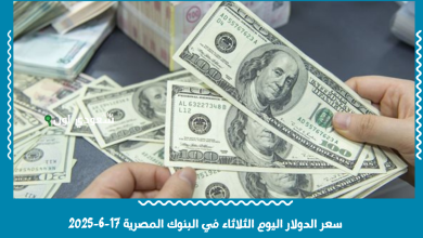 سعر الدولار اليوم الثلاثاء في البنوك المصرية 17-6-2025