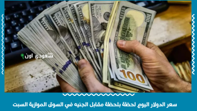 سعر الدولار اليوم لحظة بلحظة مقابل الجنيه في السوق الموازية السبت