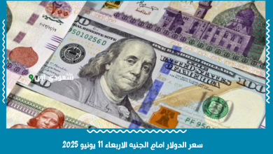 سعر الدولار امام الجنيه الاربعاء 11 يونيو 2025