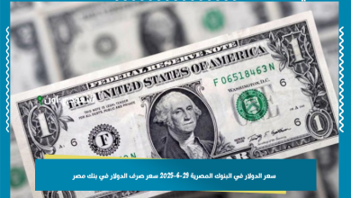سعر الدولار في البنوك المصرية 29-6-2025 سعر صرف الدولار في بنك مصر