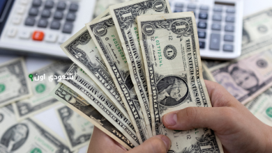 سعر الدولار في البنوك المصرية 29-6-2025 سعر صرف الدولار في بنك مصر