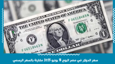 سعر الدولار في مصر اليوم 18 يونيو 2025 مقارنة بالسعر الرسمي