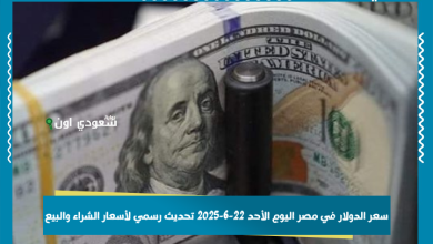 سعر الدولار في مصر اليوم الأحد 22-6-2025 تحديث رسمي لأسعار الشراء والبيع