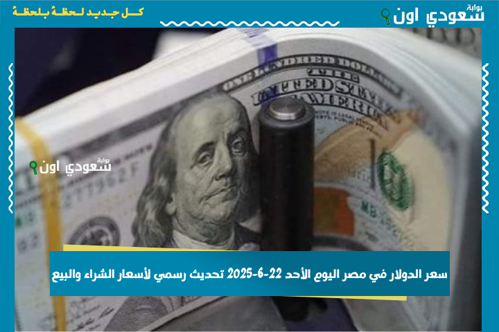 متابعة سعر الدولار في مصر اليوم الأحد 22-6-2025 تحديث رسمي لأسعار الشراء والبيع بالبنوك والسوق السوداء