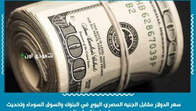 سعر الدولار مقابل الجنيه المصري اليوم في البنوك والسوق السوداء وتحديث مستمر لحظه بلحظه