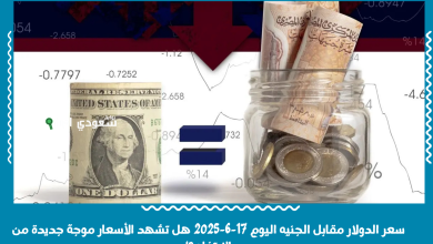 سعر الدولار مقابل الجنيه اليوم 17-6-2025 هل تشهد الأسعار موجة جديدة من الارتفاع؟!