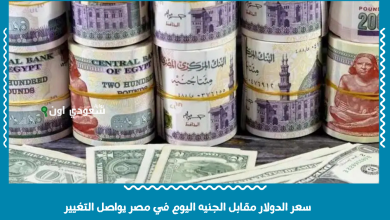 سعر الدولار مقابل الجنيه اليوم في مصر يواصل التغيير