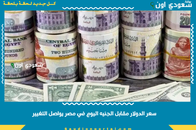 سعر الدولار مقابل الجنيه اليوم في مصر يواصل التغيير