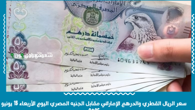 سعر الريال القطري والدرهم الإماراتي مقابل الجنيه المصري اليوم الأربعاء 18 يونيو 2025