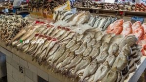 سعر السمك النهارده