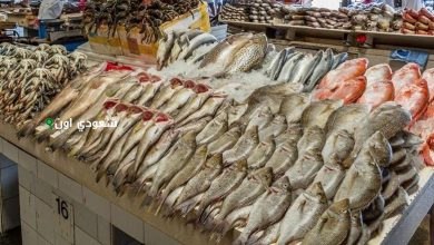 سعر السمك النهارده