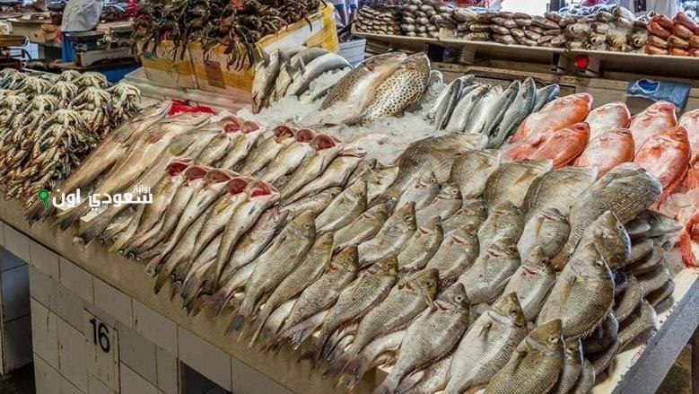كام سعر السمك النهارده؟ قائمة محدثة لأسعار الأسماك في مصر 4-6-2025.. من البلطي للبربوني