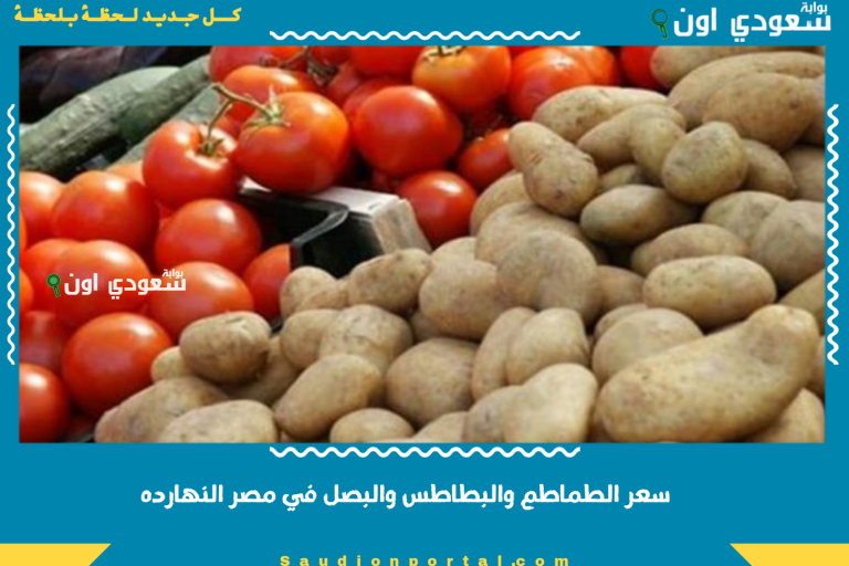 سعر الطماطم والبطاطس والبصل في مصر النهارده