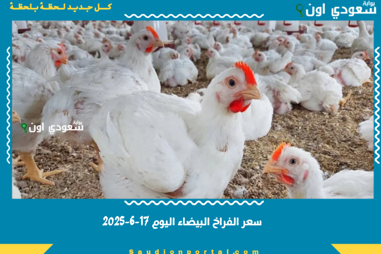 سعر الفراخ البيضاء اليوم 17-6-2025