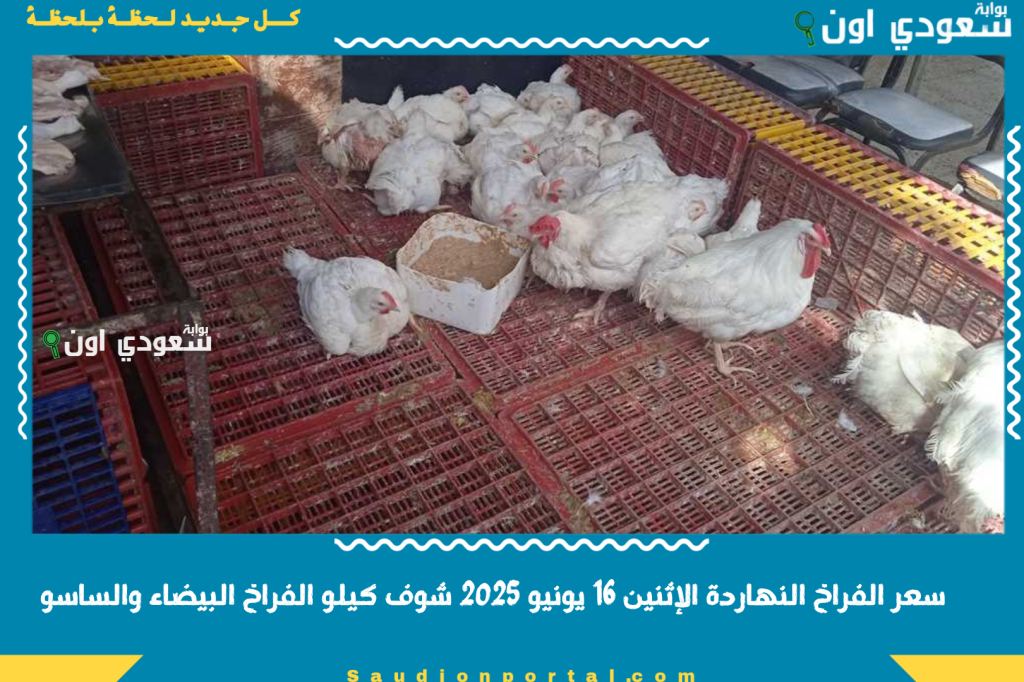 تراجع طفيف سعر الفراخ البيضاء اليوم الإثنين 16 يونيو 2025 شوف كيلو الفراخ البيضاء والساسو بكام