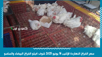 سعر الفراخ النهاردة الإثنين 16 يونيو 2025 شوف كيلو الفراخ البيضاء والساسو