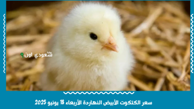 سعر الكتكوت الأبيض النهاردة الأربعاء 18 يونيو 2025