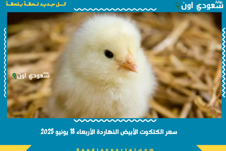 سعر الكتكوت الأبيض النهاردة الأربعاء 18 يونيو 2025