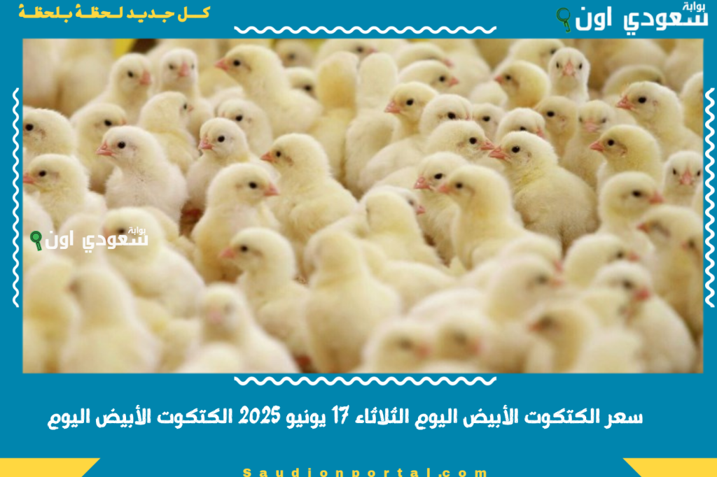سعر الكتكوت الأبيض اليوم الثلاثاء 17 يونيو 2025 الكتكوت الأبيض اليوم الواحد بكام النهاردة؟!