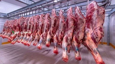 سعر اللحوم الحمراء اليوم في مصر