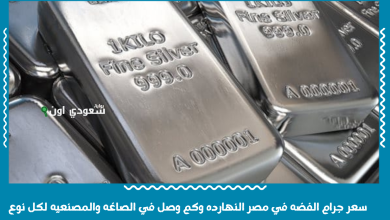 سعر جرام الفضه في مصر النهارده وكم وصل في الصاغه والمصنعيه لكل نوع