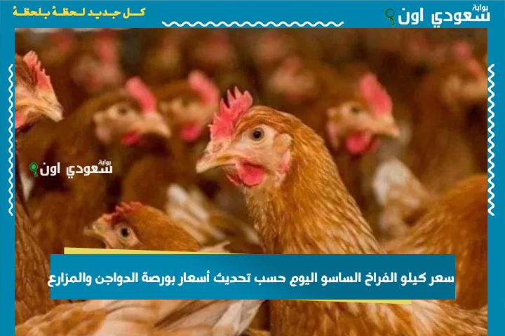 اعرف اسعار اليوم.. سعر كيلو الفراخ الساسو اليوم حسب تحديث أسعار بورصة الدواجن والمزارع