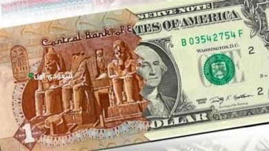 سعر الدولار