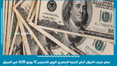 سعر صرف الدولار أمام الجنيه المصري اليوم الخميس 12 يونيو 2025 في السوق الموازية والبنوك