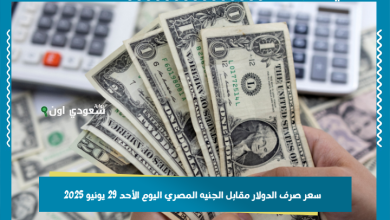 سعر صرف الدولار مقابل الجنيه المصري اليوم الأحد 29 يونيو 2025