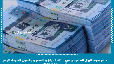 سعر صرف الريال السعودي في البنك المركزي المصري والسوق السوداء اليوم السبت 14-6-2025