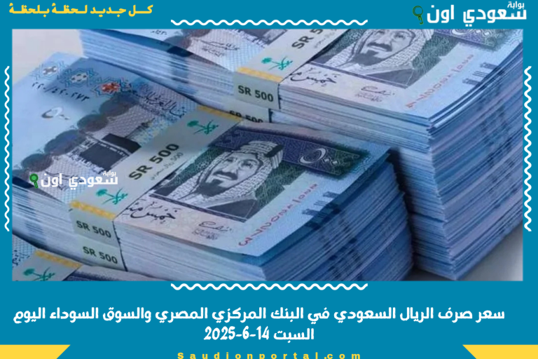 سعر صرف الريال السعودي في البنك المركزي المصري والسوق السوداء اليوم السبت 14-6-2025
