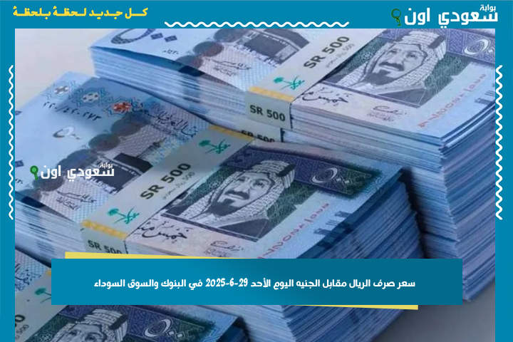 بكام الريال السعودي بالمصري؟! سعر صرف الريال مقابل الجنيه اليوم الأحد 29-6-2025 في البنوك والسوق السوداء