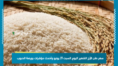 سعر طن الأرز الشعير اليوم السبت 21 يونيو وأحدث مؤشرات بورصة الحبوب