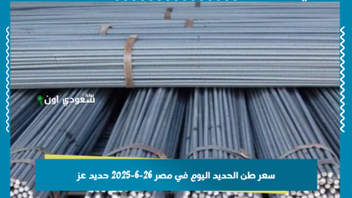 سعر طن الحديد اليوم في مصر 26-6-2025 حديد عز
