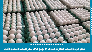 سعر كرتونة البيض النهاردة الثلاثاء 17 يونيو 2025 سعر البيض الأبيض والأحمر