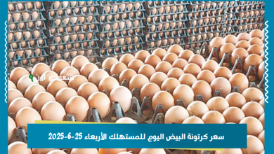 سعر كرتونة البيض اليوم للمستهلك الأربعاء 25-6-2025
