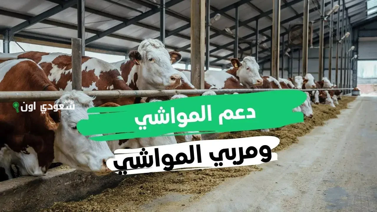 شروط دعم صغار مربي الماشية