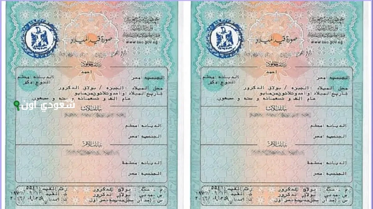 شهادة الميلاد الرقمية