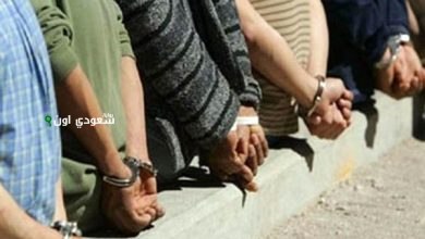 القبض على متهمين بإنشاء تشكيلة عصابية وارتكاب جرائم انتهكت حرمة المساكن