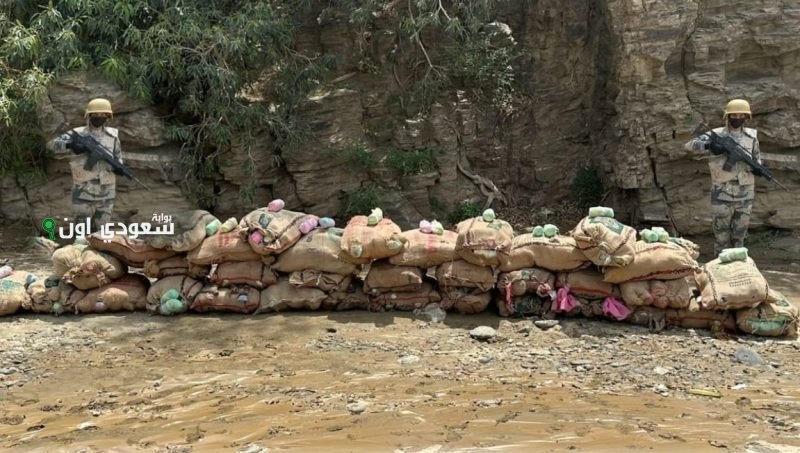 ضبط 516 كيلوجرامًا من القات المهرب في عسير وجازان