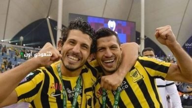 طارق حامد وحجازى