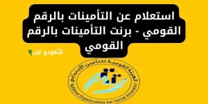 طريقة استخراج برنت التأمينات من الهيئة القومية للتأمين الاجتماعي 2025